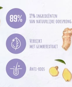 Andrélon Classic Anti-Roos Shampoo - 6 X 300 Ml - Voordeelverpakking -NIVEA Shop 550x550 1357