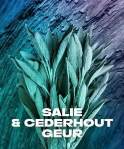 Axe Apollo Anti-transpirant Spray - 6 X 150 Ml - Voordeelverpakking -NIVEA Shop 550x550 1484