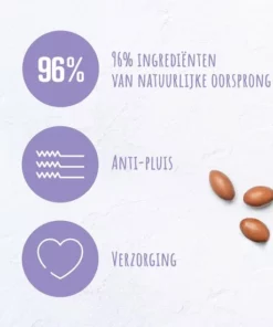 Andrélon Special Oil & Care Shampoo - 6 X 300 Ml - Voordeelverpakking -NIVEA Shop 550x550 624