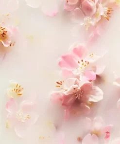 RITUALS The Ritual Of Sakura - Large Gift Set 2022 -NIVEA Shop 550x550 67