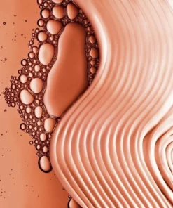 L’Oréal Paris Elvive Dream Lengths Shampoo - 6x250 Ml - Voordeelverpakking -NIVEA Shop 550x628 1